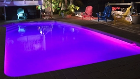 1. Lumière halogène de couleur ultra brillante